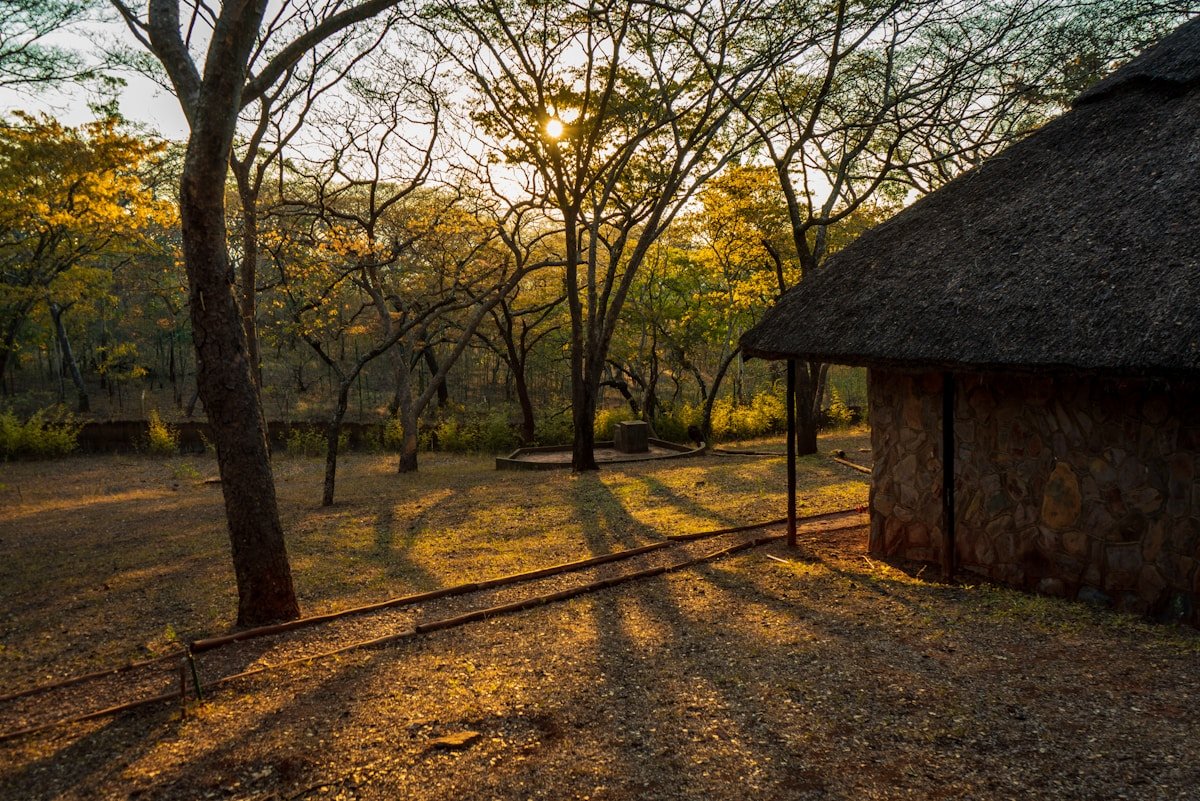 Golden evening light filters through mopane woodland at a stone-and-thatch camp near the Great Zimbabwe heritage site