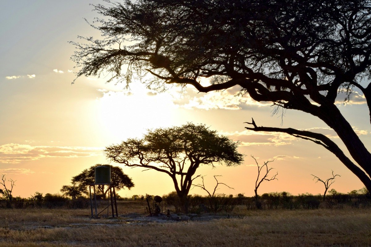 A giraffe standing on top of a dry grass field, Zimbabwe