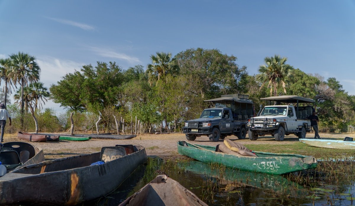 Traditional wooden canoes lined up at a riverbank safari launch point with safari vehicles in the background, Botswana
