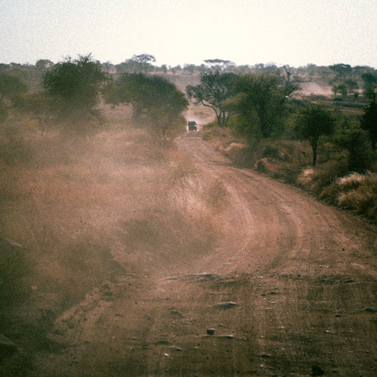 Dusty dirt road stretching through African savanna with sparse trees, Zimbabwe