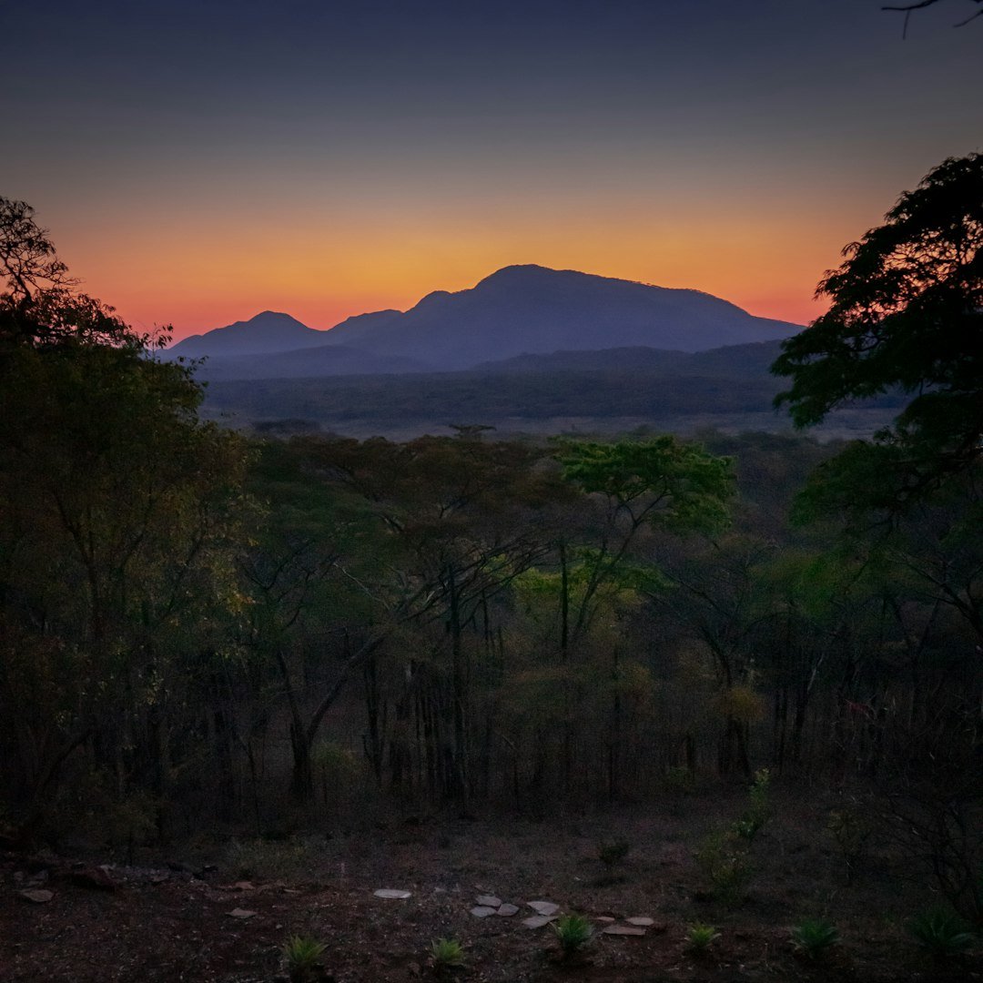 Mountain sunset through woodland trees in Zimbabwe's Eastern Highlands