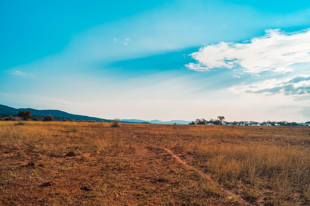 Open savanna landscape near Masvingo, Zimbabwe, with red earth and distant hills