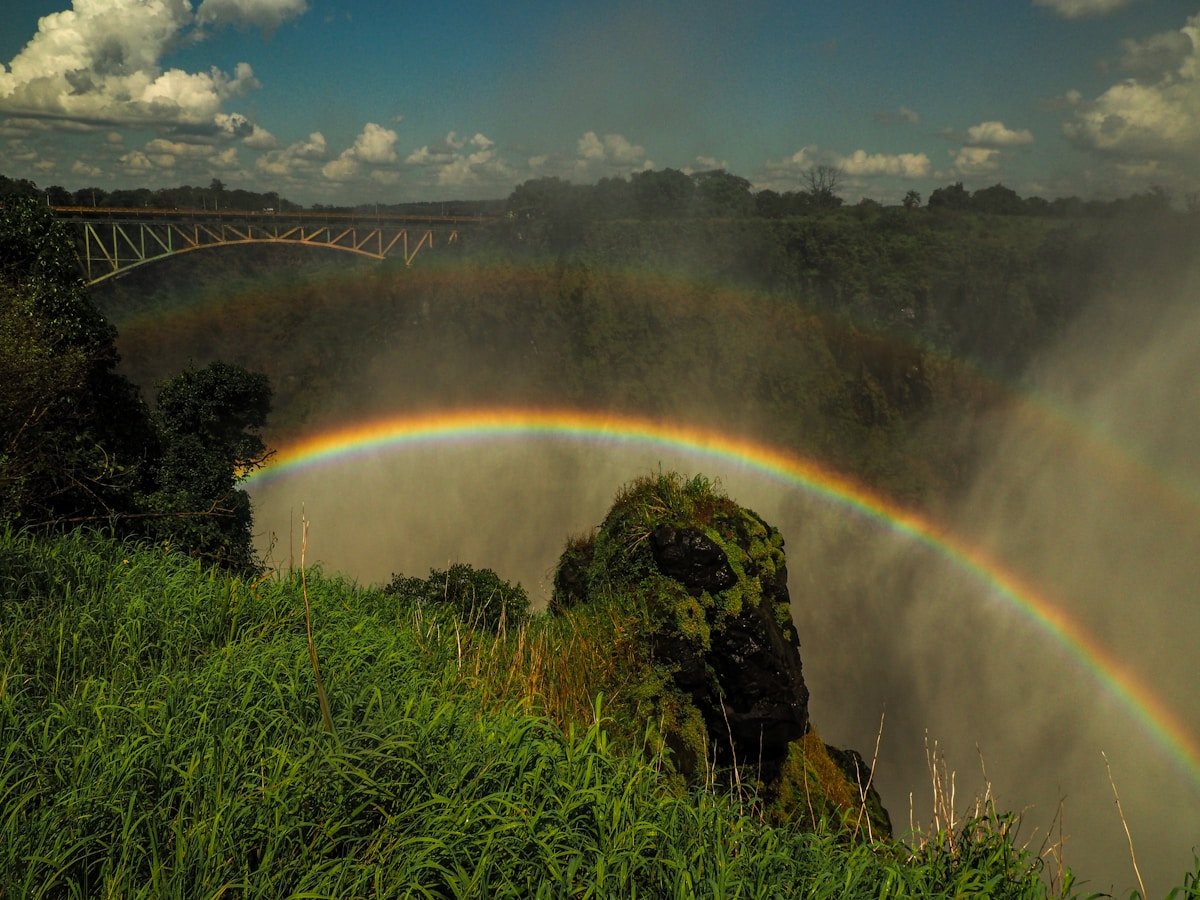 Paysage du Zimbabwe avec faune sauvage