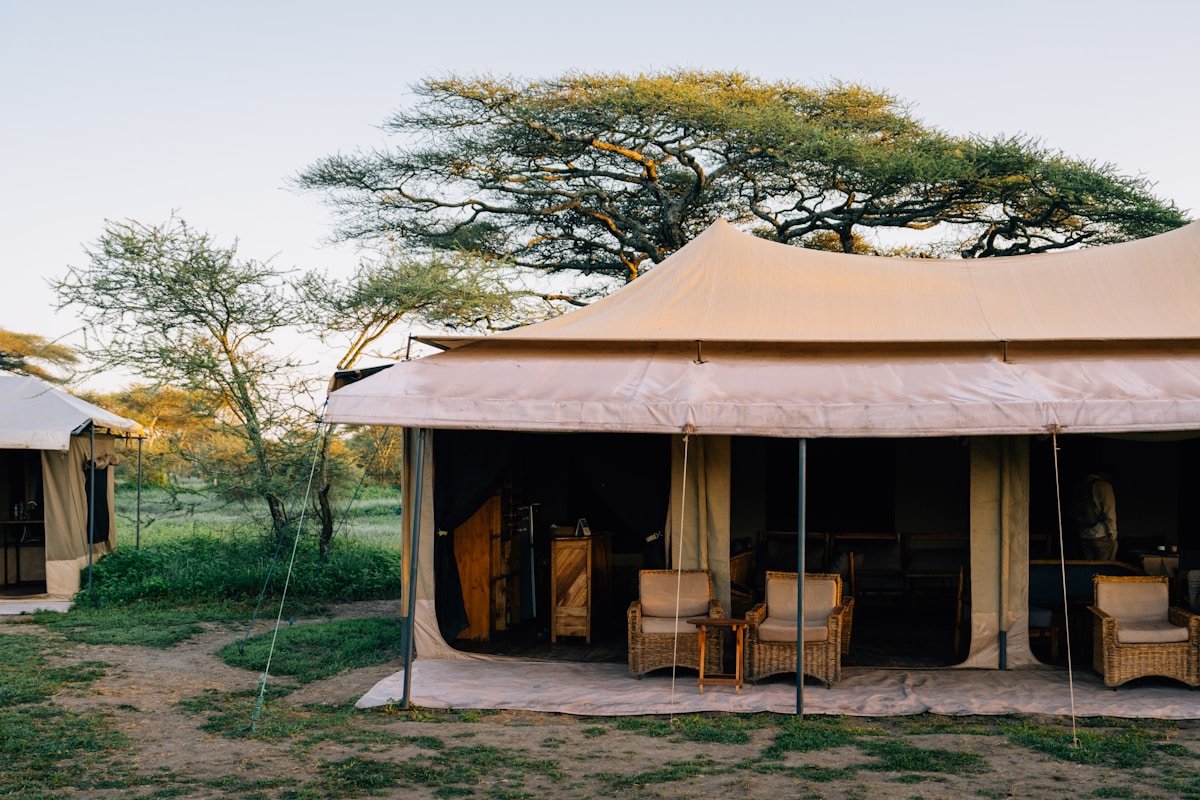 Luxury safari tented camp with open sides and wicker chairs under acacia trees in African bush