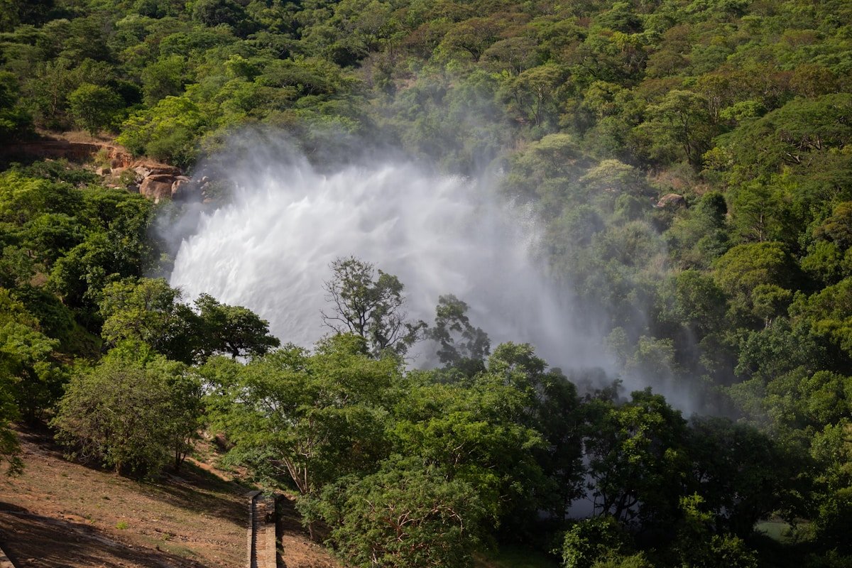 Waterfall surrounded by lush green rainforest vegetation in Zimbabwe's wet season