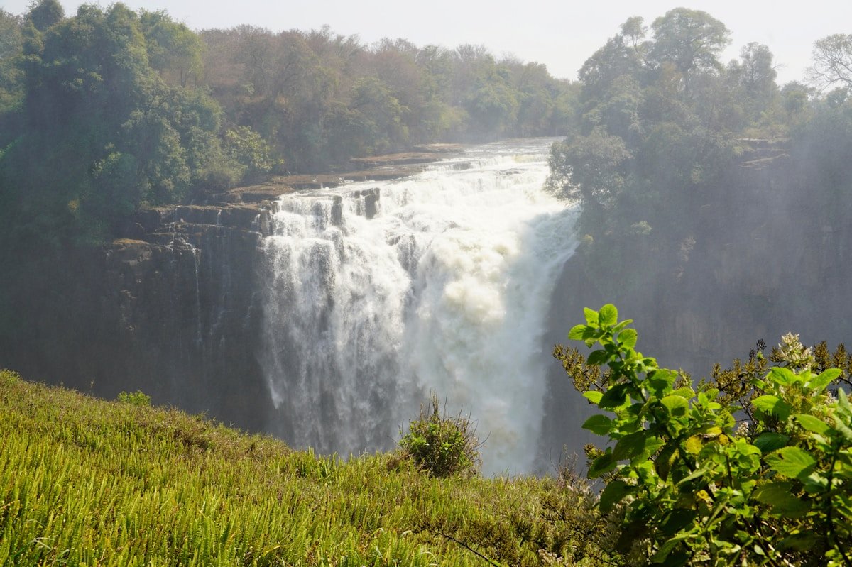 A waterfall cascading through lush forest, Victoria Falls, Zimbabwe