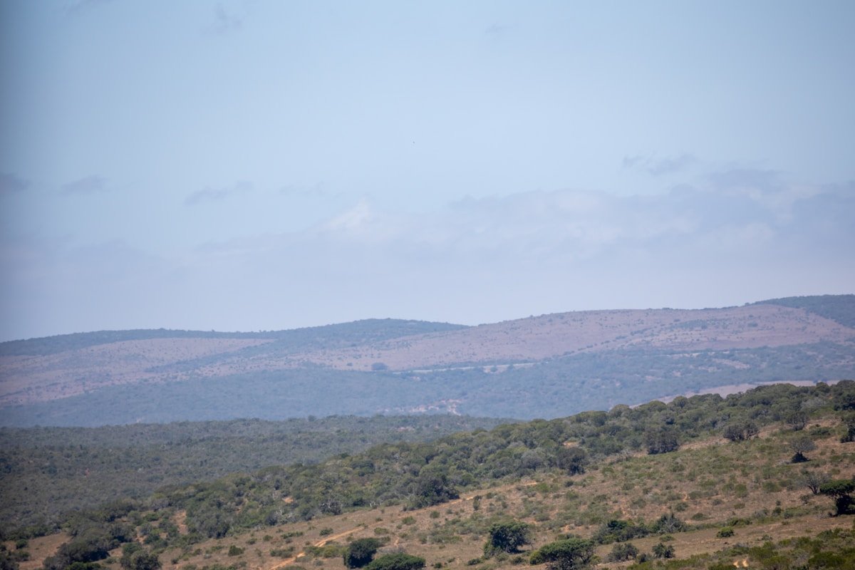 Rolling savanna hills with scattered acacia trees and bushveld vegetation under a pale sky in southern Zimbabwe
